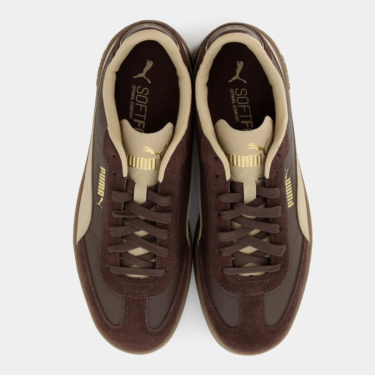 397447CLUB II ERAEspresso Brown-Sand Dune-Gold- SPORTIVE^PUMA Flash Sale