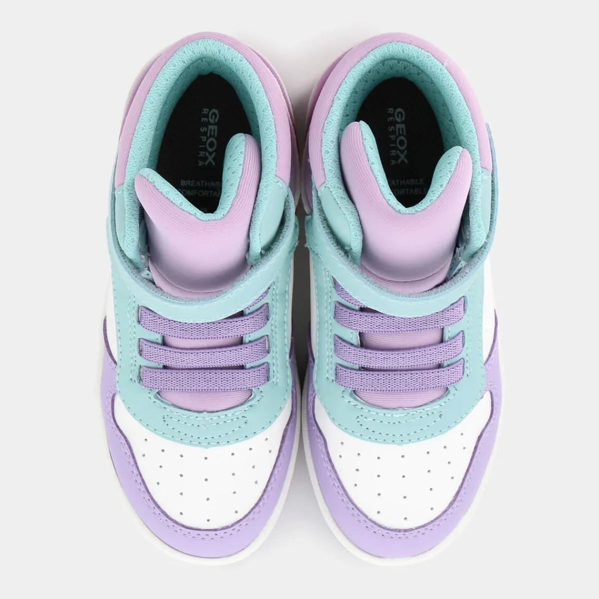 J36HXA05415C8R4AWASHIBALILAC AQUA- SNEAKERS^GEOX Store