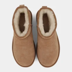 1016222MINICHESNUT- TRONCHETTI^UGG Best