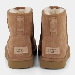 1016222MINICHESNUT- TRONCHETTI^UGG Best