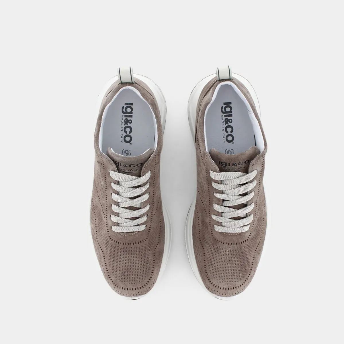3629022SARONNOPELTRO- SNEAKERS^IGI & CO. Hot