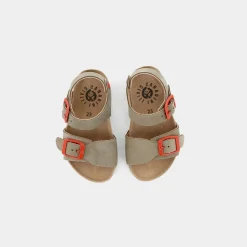 SO-E23B-03- PRIMI PASSI^CANARINI GIALLI Best Sale